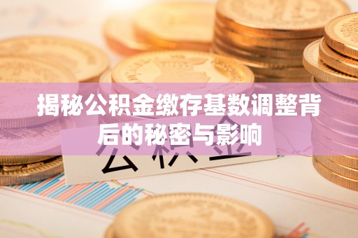 乌拉特后旗揭秘公积金缴存基数调整背后的秘密与影响