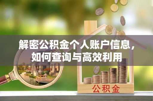乌拉特后旗解密公积金个人账户信息，如何查询与高效利用