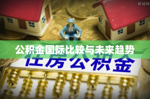 乌拉特后旗公积金国际比较与未来趋势