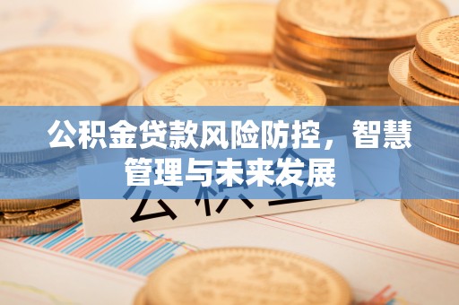 乌拉特后旗公积金贷款风险防控，智慧管理与未来发展
