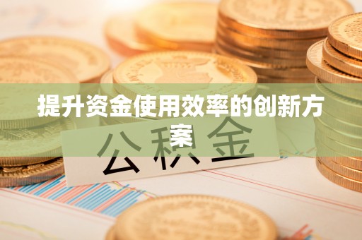 乌拉特后旗提升资金使用效率的创新方案