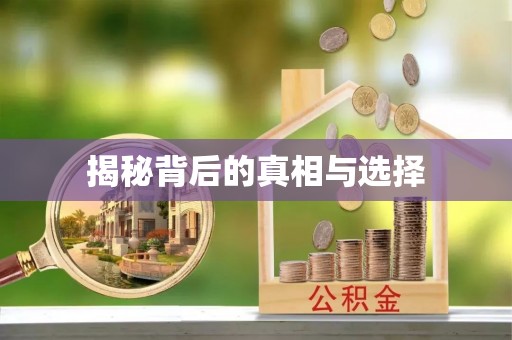 乌拉特后旗揭秘背后的真相与选择