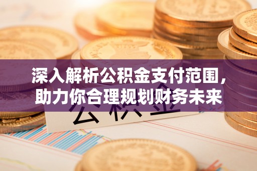 乌拉特后旗深入解析公积金支付范围，助力你合理规划财务未来