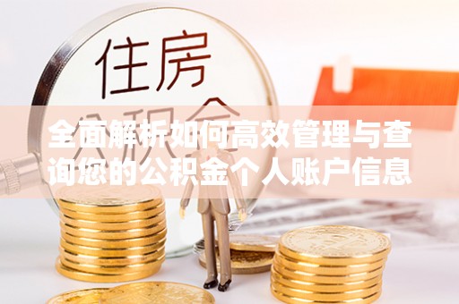 乌拉特后旗全面解析如何高效管理与查询您的公积金个人账户信息