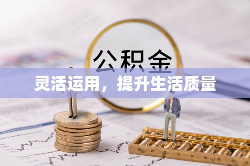 乌拉特后旗灵活运用，提升生活质量