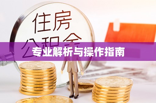 乌拉特后旗专业解析与操作指南
