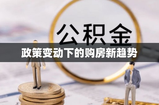 乌拉特后旗政策变动下的购房新趋势