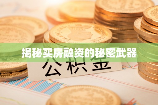 乌拉特后旗揭秘买房融资的秘密武器