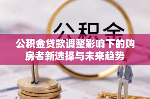 乌拉特后旗公积金贷款调整影响下的购房者新选择与未来趋势