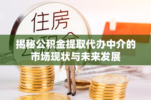 乌拉特后旗揭秘公积金提取代办中介的市场现状与未来发展
