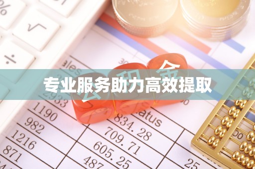 乌拉特后旗专业服务助力高效提取